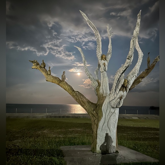 Meet your Posher, Mary - Picture 15 of 16